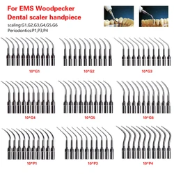 10Pcs Dental Ultrasonic Scaler Tip Scaling Periodontics Endodontics Endo Perio Scaling Tips G P fit EMS WOODPECKER Scaler