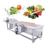 Vegetable Fruit Bubble Washer Industrial Banana Small Vegetable Washing Machine 1