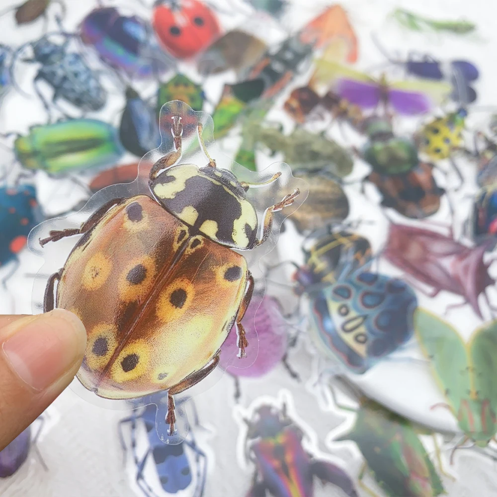 50pcs 곤충 잠자리 애완 동물 스티커 데칼 전화 노트북 노트북 스케이트 보드 기타 DIY 미적 투명 스티커