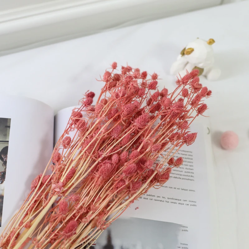 Lover Fruit Natural Dried Flower Bouquet DIY Dried Flower for Resin Mold Making Real Flower For Home Wedding Party Decoration