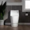 One Piece Toilet with Soft Closing Seat Chair Height 1.28 GPF Dual Water Sensed 1000 Gram MaP Flushing Score Toilet with Chrome 2