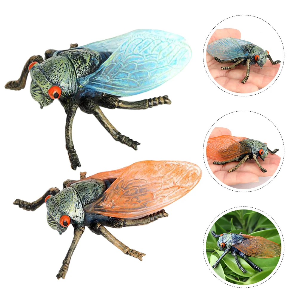 

2pcs Simulation Cicadas Model Plastic Cicadas Model Simulation Insect Educational Model Simulated Insects Model