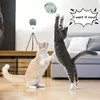 1/2/3pcs Cat Toy Balls Stretchable Kitten Springs Toys Interactive Caged Rats Rolling Cat Balls Random Color Cat Accessories 6