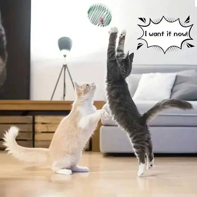 1/2/3pcs Cat Toy Balls Stretchable Kitten Springs Toys Interactive Caged Rats Rolling Cat Balls Random Color Cat Accessories 6