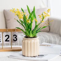 Tabletop Flower Pot Home Garden Bonsai Decor Succulent Hydroponic Plants Pot Self Watering Flowerpot Indoor Mini Planter Pots 1