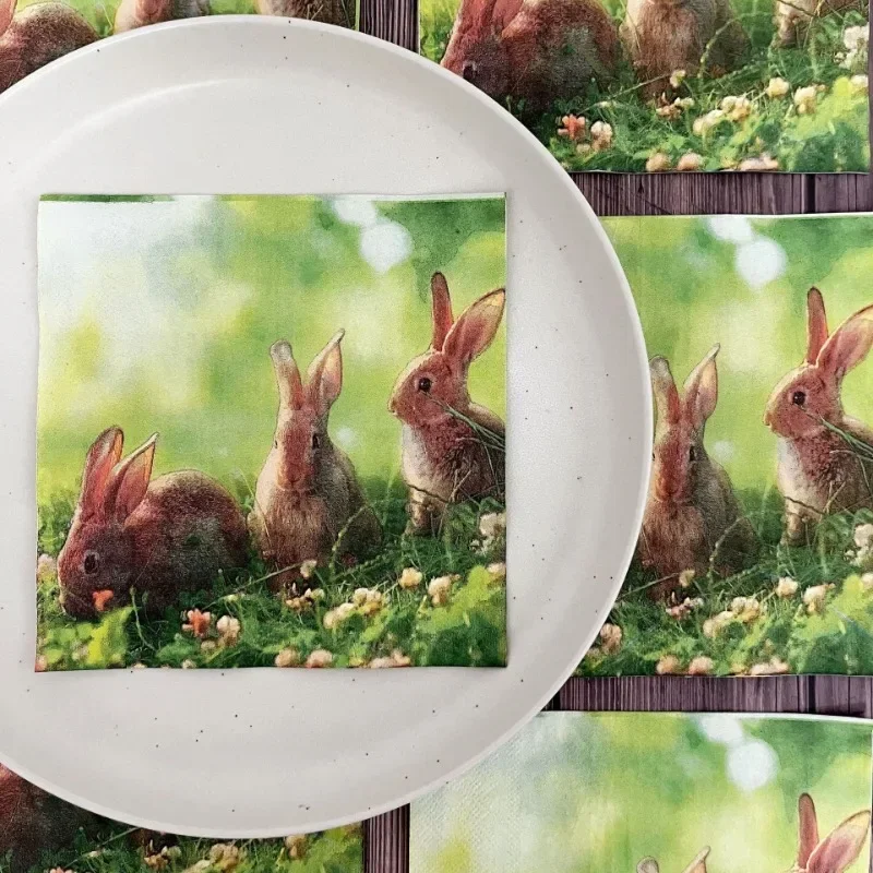 20pcs 33cm 2-Ply Meadow Bunny Printed Paper Napkins Easter Party Decorative Paper Placemats Cocktail Napkins