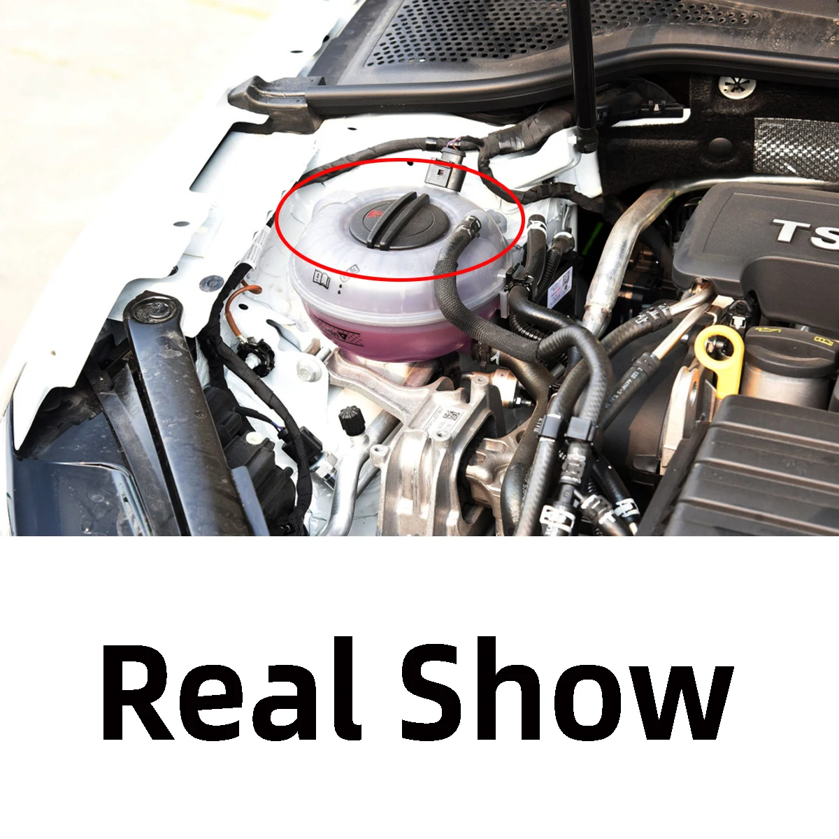 Where Does Antifreeze Go corona.dothome.co.kr