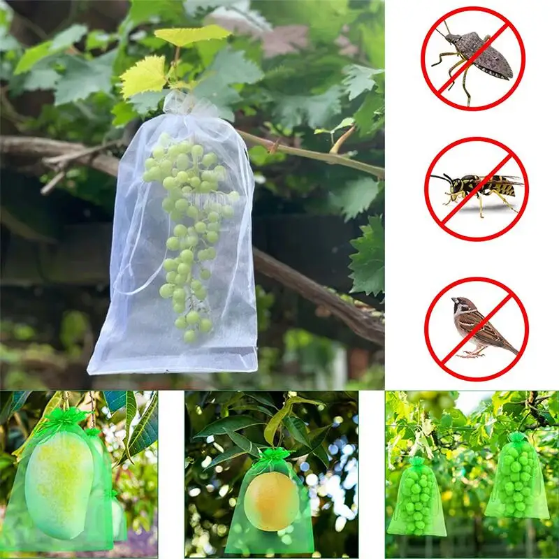 20/50/100 piezas Bolsa de protección contra uvas, bolsa de malla para cultivo, productos de Control de plagas de fruta, gasa transpirable, bolsas de plántulas de fresa de Organza