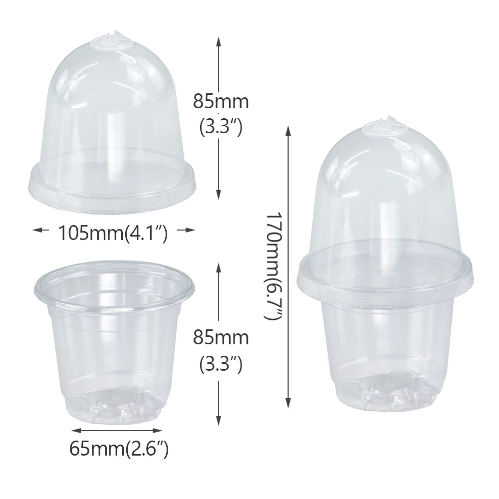 170X105Mm Doorzichtige 4-Inch Huisdier Zaailing Cup Transparante Voedingsstof Potje Met Deksel Robuust Eenvoudig Bewaken Zaailing Ontwikkeling Container