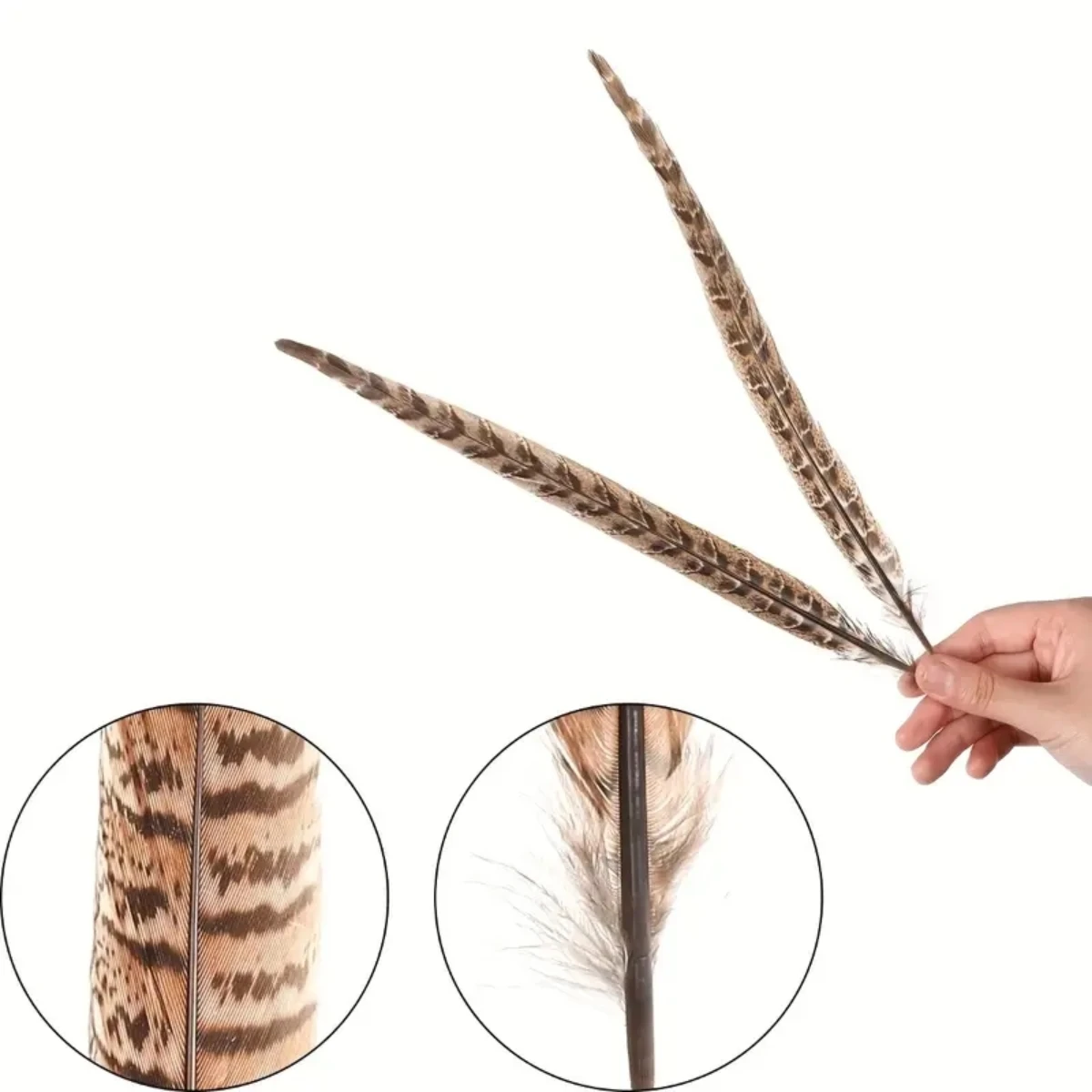 Natural Pheasant Feathers 10pcs Female Tail Feathers pheasant feathers natural feathers