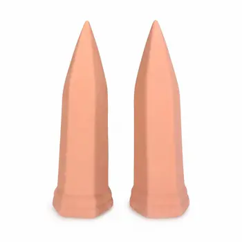 Self-Watering Terracotta Plant Stakes 1
