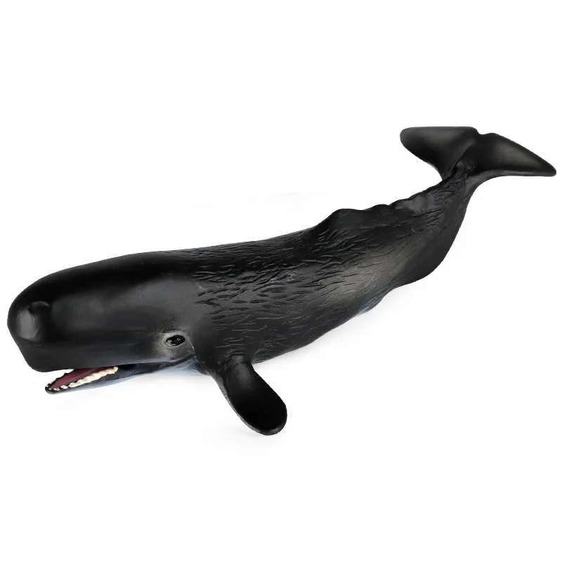 

Children's cognition, solid simulation, marine life model, toy, sperm whale, shark model, plastic ornaments