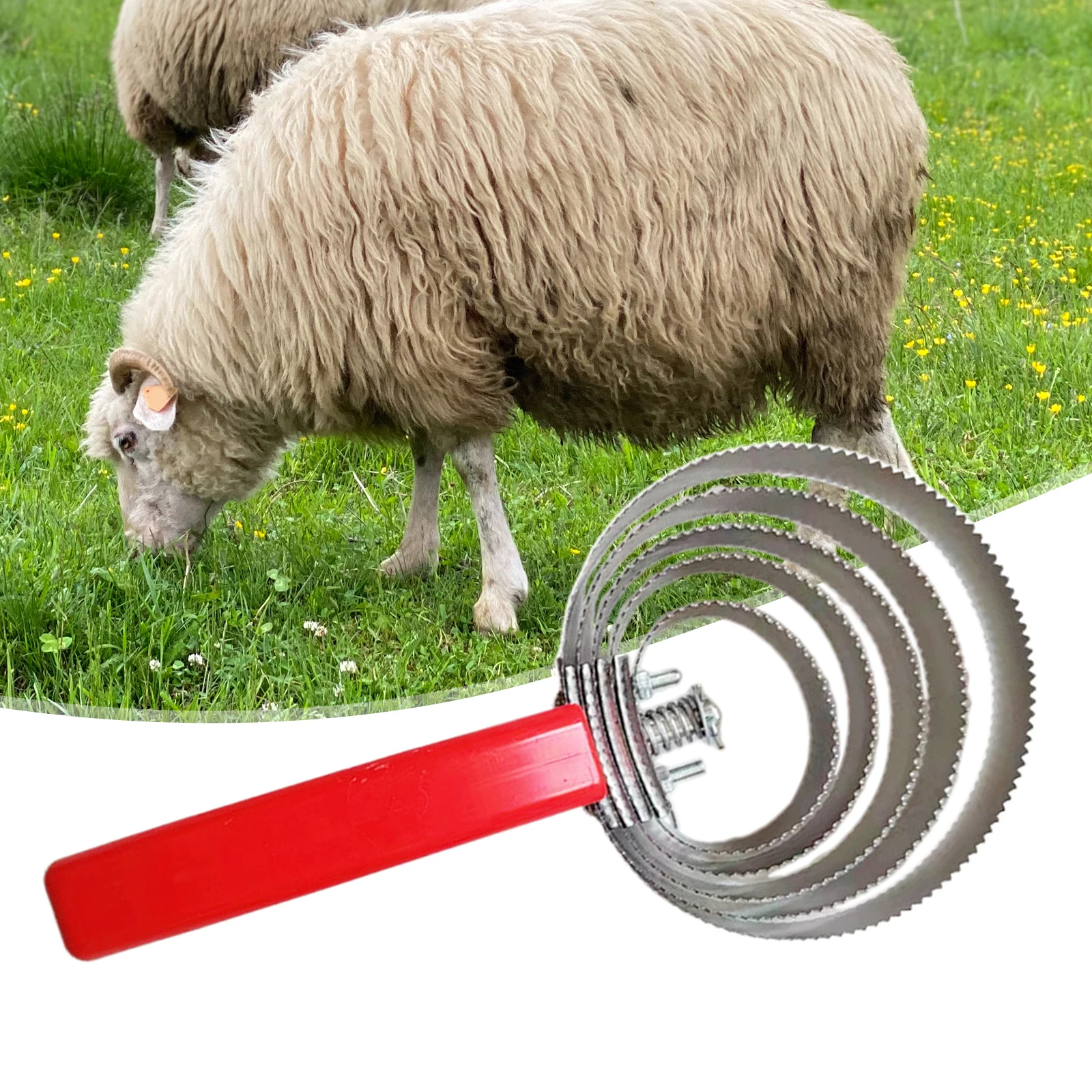 Reversible Curry Comb with Comfortable Grip Horse Shedding Tool Stainless Steel Horse Brush, Double Sided Curry Brush for Horse 6