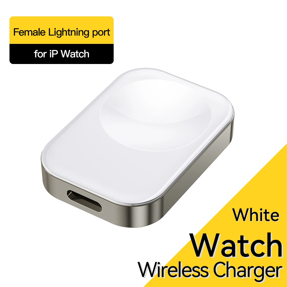 Apple watch online lightning port