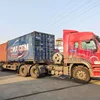 Hair Roller Peeling and Cleaning Machine Peanut Ginger Carrot Mud Washing Machine Sweet Potato Potato Cleaning Equipment 6