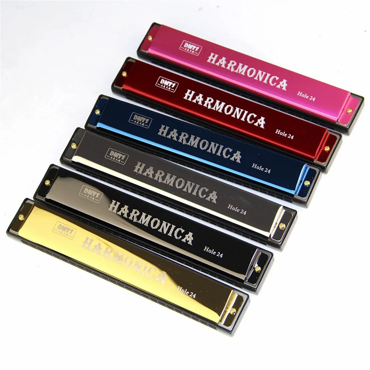 Metal Harmonica 24 Hole Mouth Organ for Beginners with Case