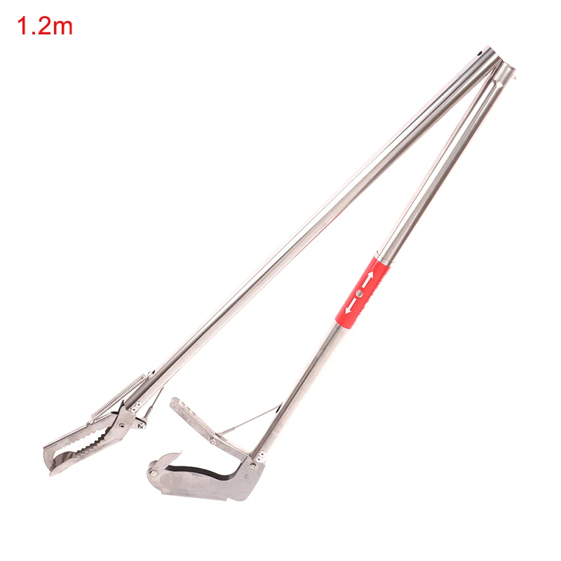 Slide image undefined