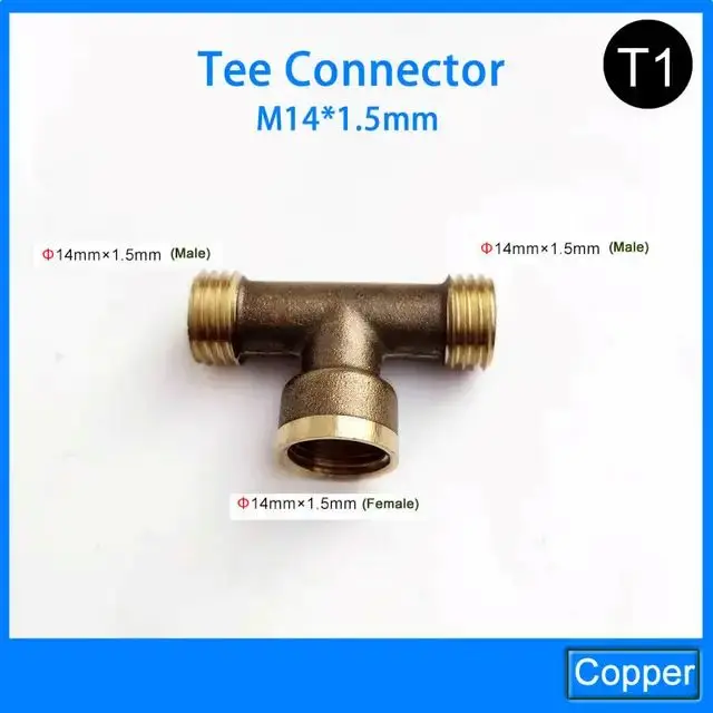 T1