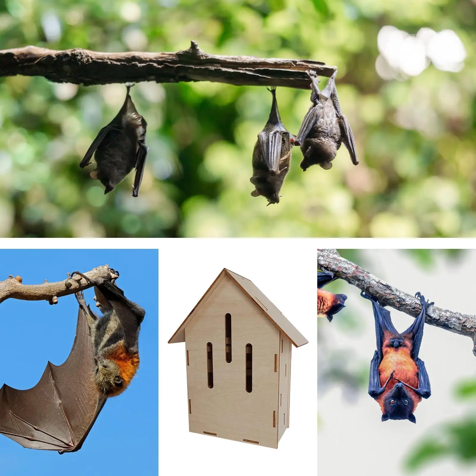 รูปสินค้า ที่พักค้างคาว บ้านธรรมชาติ สำหรับคนรักสัตว์