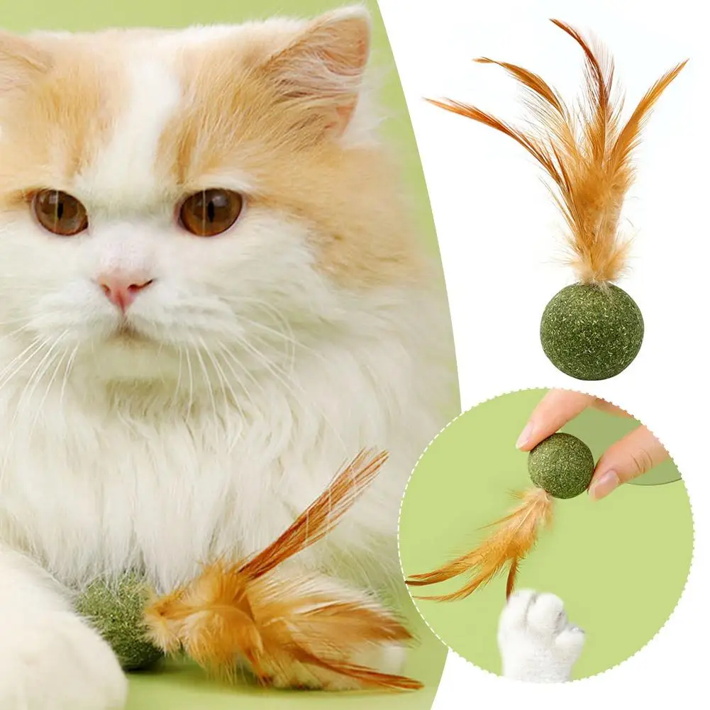 1Pc Interactive Cat Toy Catnip Feather Ball Compresso Naturale Commestibile Catnip Toy Cat Kicker Con Piume Per Indoor Cat Ki U7G4