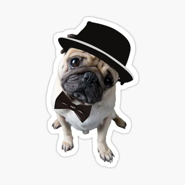 

Pug Irkı Type Dog Sticker Car Auto Bonding 17CM Z9