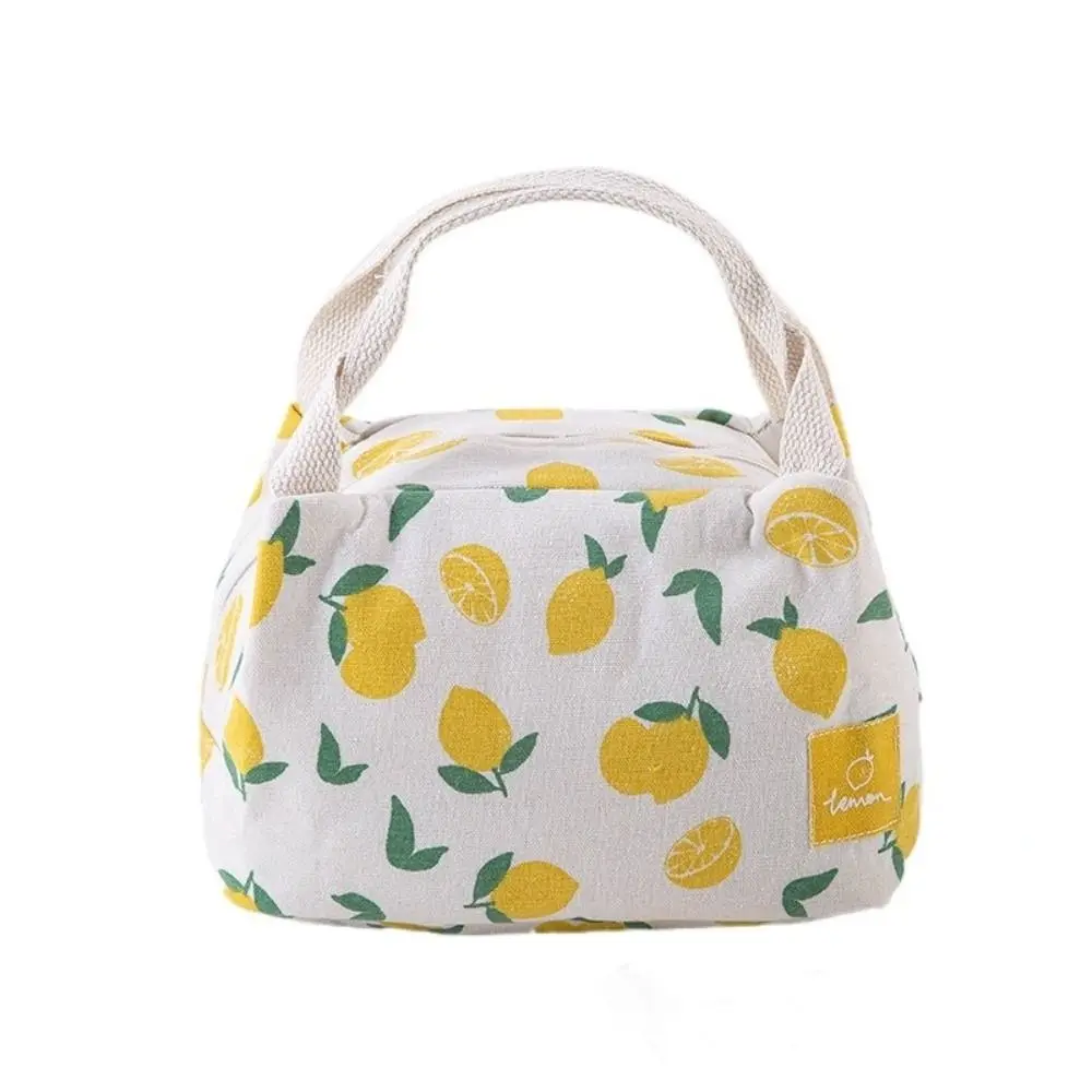 Niedliche Frucht isolierte Thermotasche Aufbewahrungstasche wiederverwendbare Lunchtasche auslaufsicherer Lunchbehälter isolierte Lunchbox Kind Student Geschenke – Detail 4