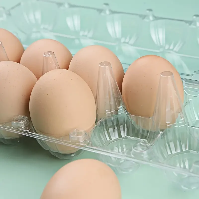 5Pcs Egg Cartons Clear Plastic Egg Holder Storage Container Egg Tray for Family Pasture,Refrigerator Storage,6 Grids 3