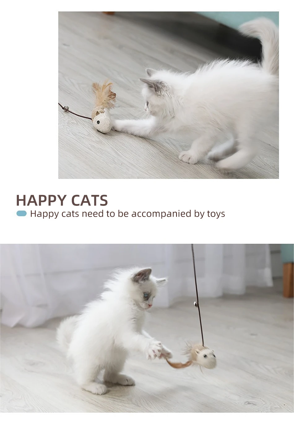 S64ad34562e534a02a03f513d6f5ea91bc