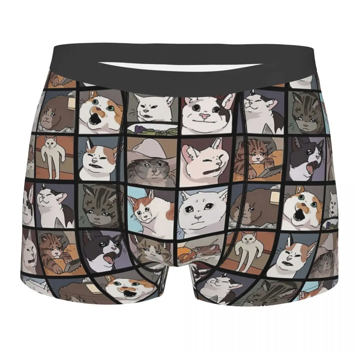 Meme Cats 2.0 Underpants Breathbale Panties Male Underwear Print Shorts Boxer Briefs