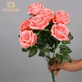 Pink01