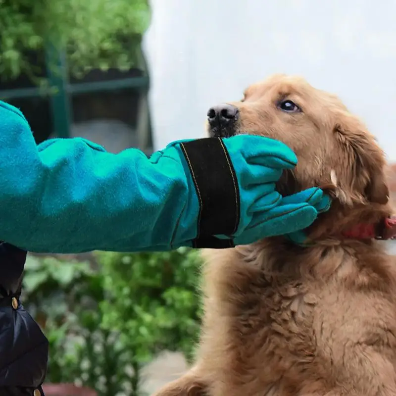 Pet Protective Gloves High Quality Pet Gloves Cowhide Leather Anti-grasping Anti Bite Protective Glove SnakeLizard Cat Dog Gardening Work Train Gloves