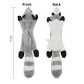 Raccoon