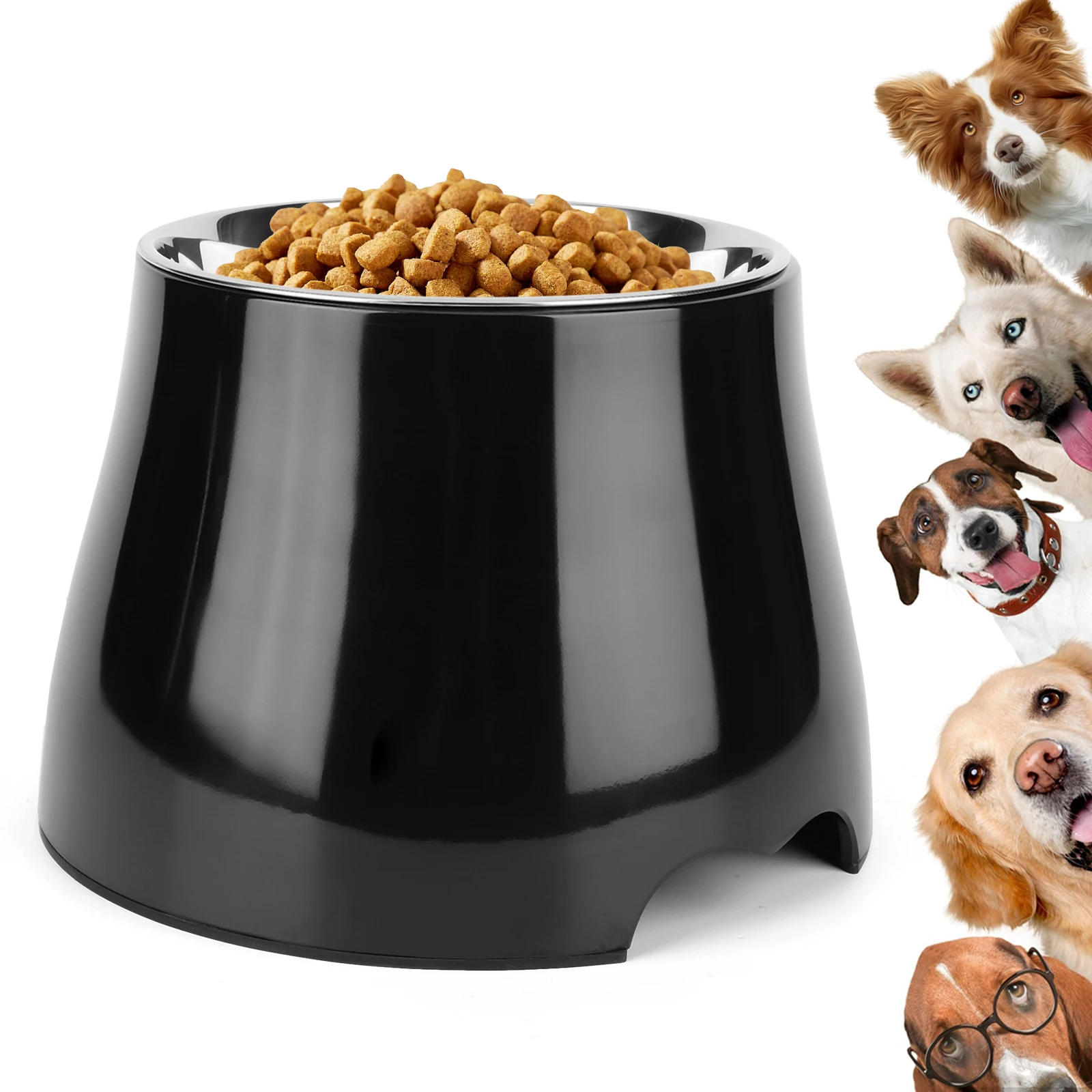 Elevated Dog Bowls Stainless Steel Non Slip Design