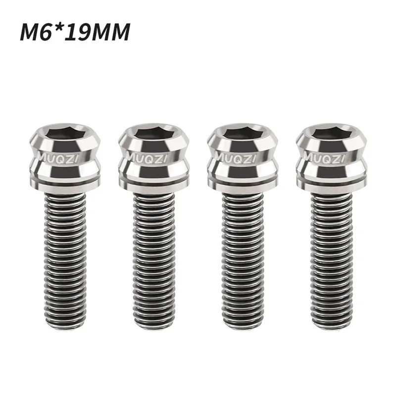 Vis De Frein à Disque Titane M4 X 31 Mm - Lot De 2 - Pour étriers De Frein VTT, Vélo, BMX, Moto - Argenté