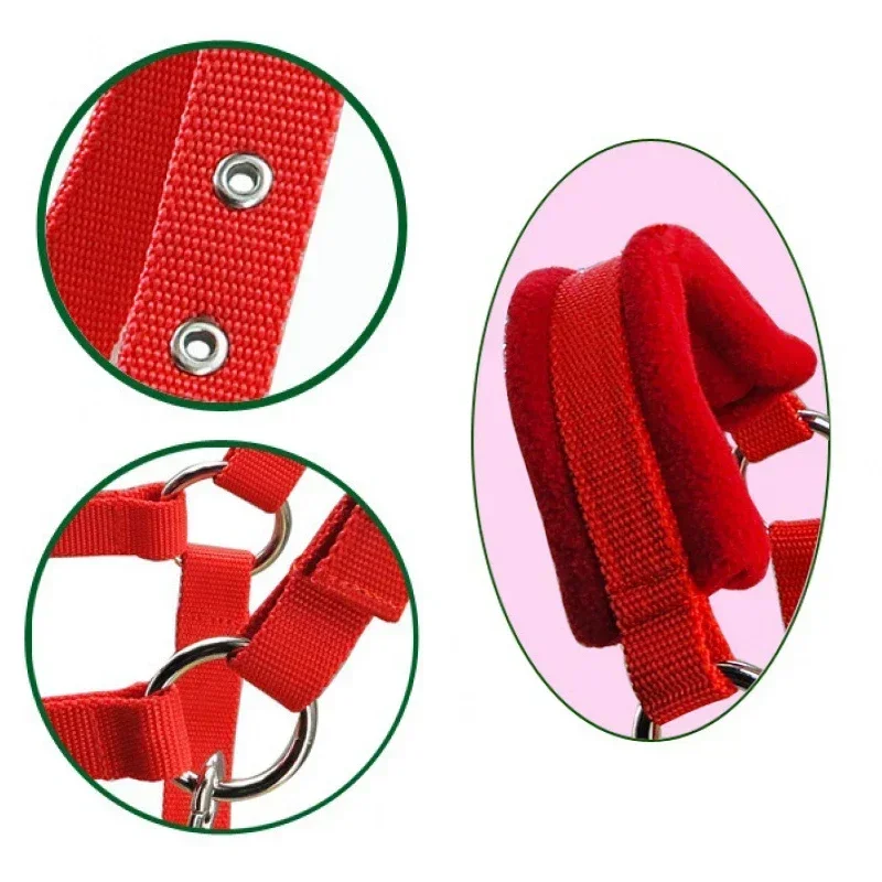 1Pc Soft Padded Pony Horse Halter Bridle Headstall Head Collar Horse Riding Accessories Ergonomic Comfortable Unfettered Halters 5