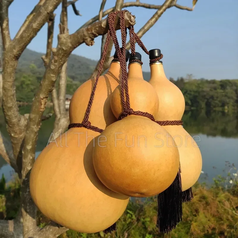 

Natural Gourd Water Bottle for Cosplay Hulu Hulou Flask Calabash Home Table Decor Chinese Pumpkin for Drinks Holder Ornament