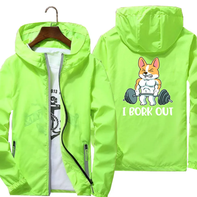 Corgi  帮Ʈ ƮϽ ü  ,   ٶ,  ĵ Ŷ,  Ϸ Ų Ʈ, 