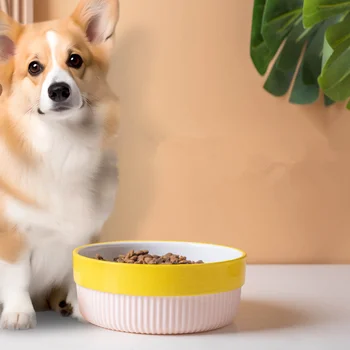 1pc Fashion Silicone Anti Slip Ceramic Dog Basin Personalized Design for Cats and Dogs Drinking and Eating Bowls Pet Supplies