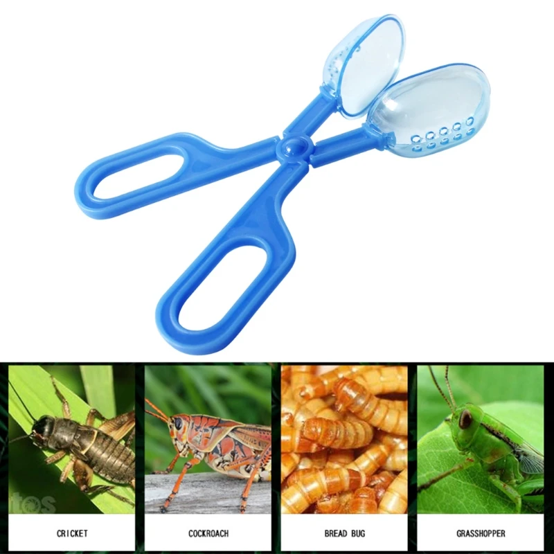 Reptiles Feeding Tongs and Cleaning Tool Lizard Beetle Insect Catch Clamp Poop Cleaning Tool for