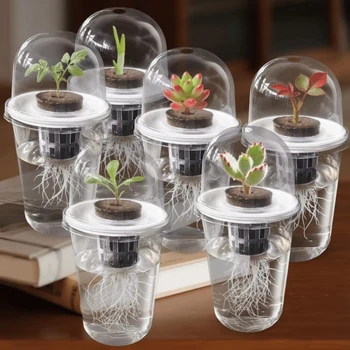 Plastic hydroponic seed planting pot - transparent and durable gardening seedling cup - reusable cup for observing plant roots