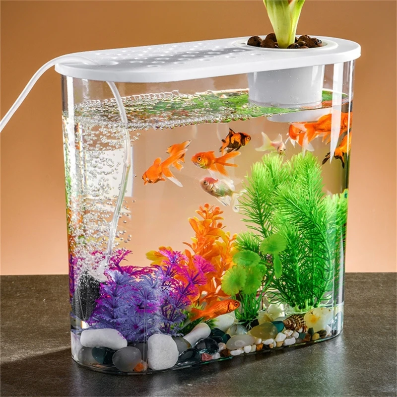 Small Desktop Aquarium Table Fish Tank with Lid Clear Hydroponic Plant  Basket Terrarium Aquarium for Home Office Desk Decoration - AliExpress