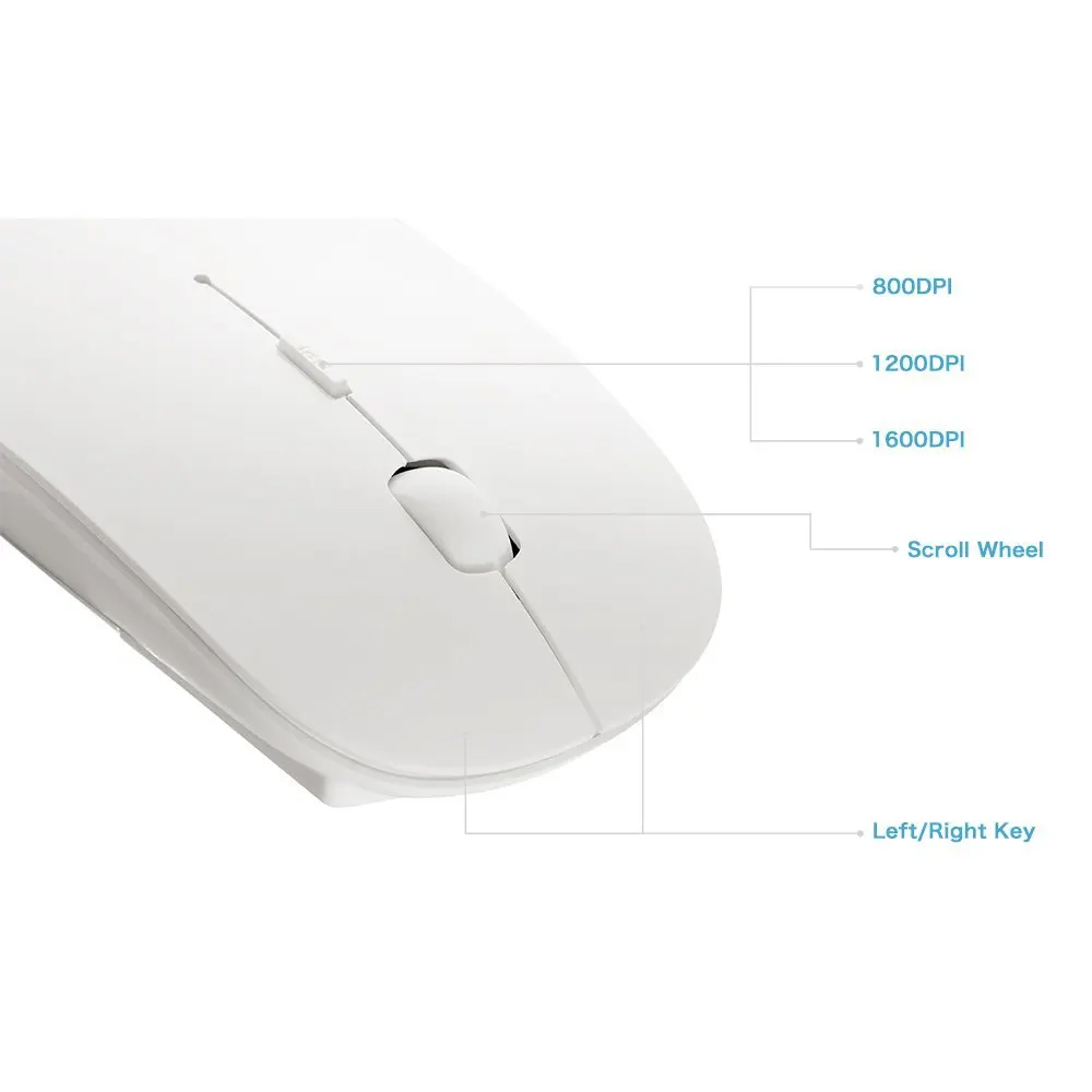 Compact Wireless Optical Mouse - 2.4GHz USB Receiver, Available in Four Vibrant Colors