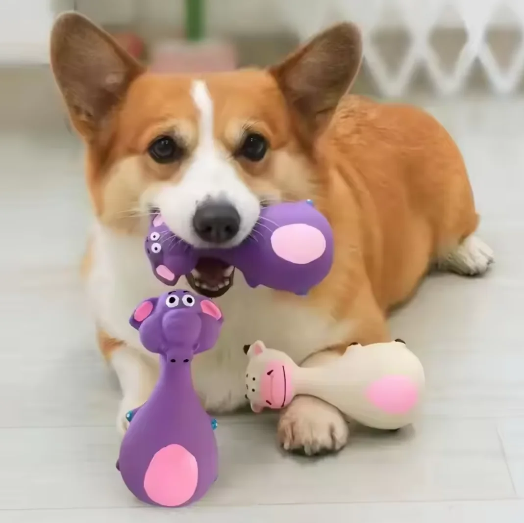 Cartoon Latex Squeaky Dog Toy 1