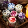 3M 1Roll Flower Handbook PET Long Cycle Tape Flower Club Blooming Along Road Matte Material Gift Package Scrapbook 65mm*3M 1