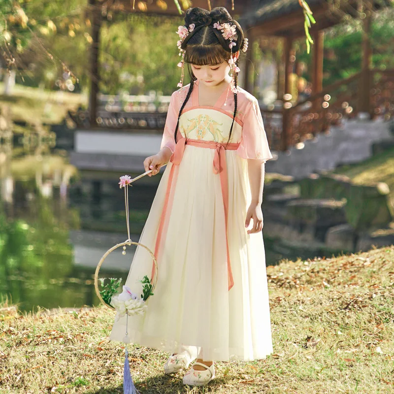 

Chinese Traditional Pink Embroidery Costume Tang Suit Vintage Dress Dance Clothes Stage Performance Hanfu
