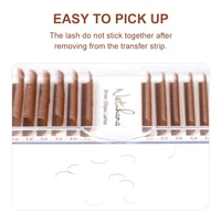 NATUHANA Brown Ellipse Flat Eyelashes Extensions Matte Faux Lashes Split Tips Soft Light Weight Ellipse Shaped Makeup Tools 6