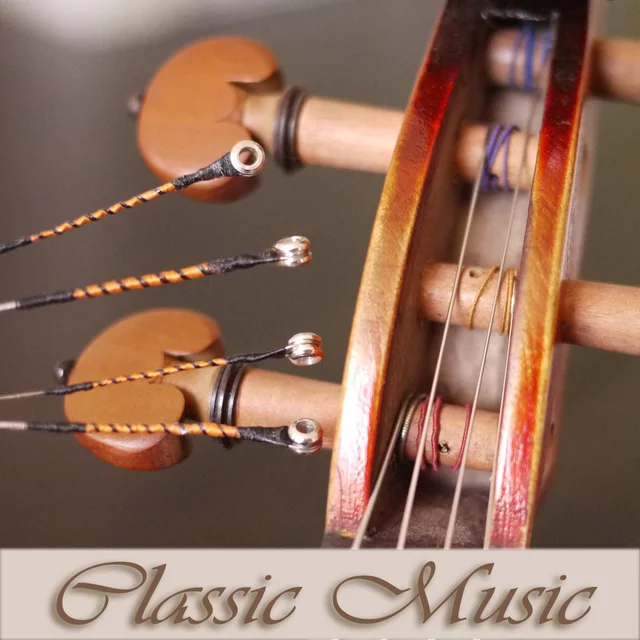 Violin String Set Thomastik Infeld Spirocore Silver Viola G String