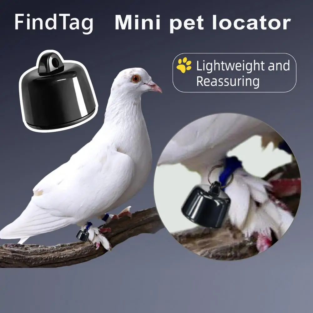 Smart Pet Tracker Location Tracking Collar Real-Time Global Positioning Mode Battery Powered Anti-loss Mini Dog Tracker Pet Loca
