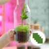 4 Pcs Garden Mini House Decoration Lifelike Grass Fairy Artificial Outdoor Plants Decorations Miniature Ornament 5