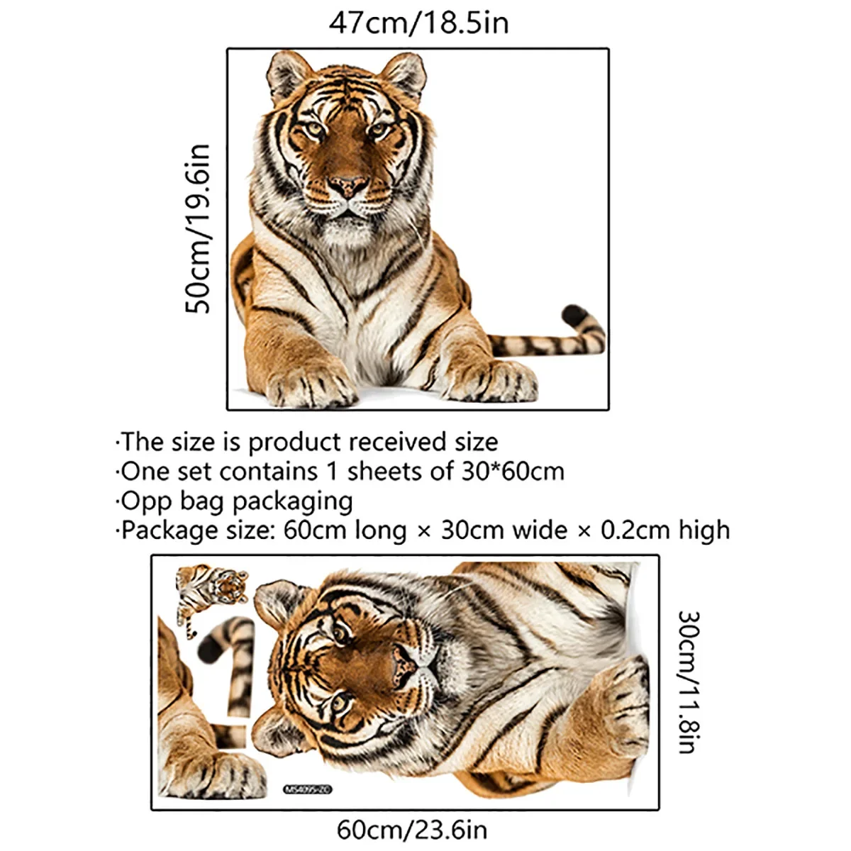 548175_4